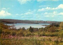 CPM Le Morvan Touristique Le Lac de Saint Agnan 
