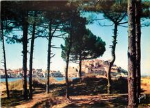 CPM La Corse Oasis de Beaute Calvi Vue generale a travers les pins et les dunes bordant la plage lon