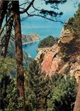 CPM La Corse Oasis de Beaute les Calanche Ravin encadre de magnifiques roches rouge