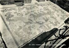 CPM OSTIA MOSAICO di Nettuno Nella Sala d'Ingeeses