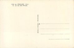 CPM Cite de Perouges (Ain) La rue des Princes