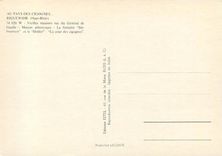 CPM Au pays des Cigognes Riquewihr (Haut Rhin)