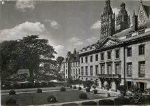 CPM Tours (I et L) Le Musee des Beaux Arts et le grand Cedre