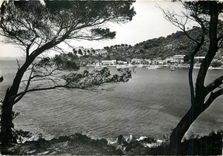 CPM Ile de Port Cros (Var) Le Port