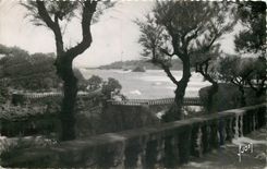 CPM Biarritz (Basses Pyrennees) Le rocher de Besta et le Phare