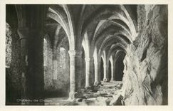 CPM Chateau de Chillon