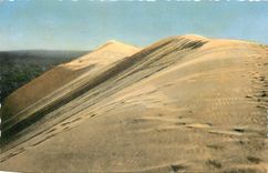 CPM Bassin d'Arcachon Une Dune du Pilat