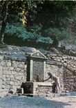 CPM Corse Ile de Beaute Foret de Valdo Niello