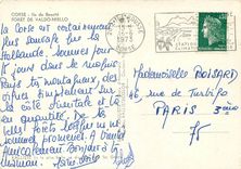 CPM Corse Ile de Beaute Foret de Valdo Niello