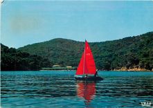 CPM La Cote d'Azur French Riviera Ile de Port Cros (Var) La Baie de Port Man