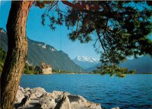 CPM Le château de Chillon et les dents du Midi