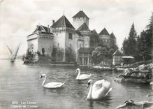 CPM Lac Leman Chateau de Chillon Cygnes