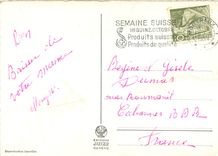 CPM Lac Leman Chateau de Chillon Cygnes