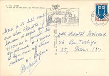 CPM Lyon Le Parc de la Tete d'Or Les Flamants Roses