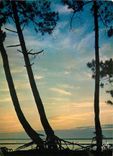 CPM Couleurs et Lumiere de France Bassin d'Arcachon (Gironde) Coucher de soleil sur le Bassin