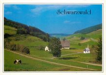 CPM Schwarzwald