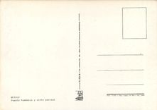 CPM Besalu Puente Romanico y vista parcial