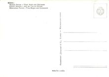 CPM Roma Forum Romain Arc de Tite et Colisee