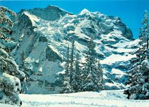 CPM Wengen Jungfrau 4158 m Schneehorm