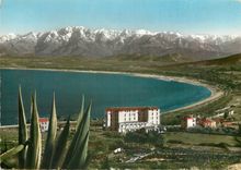 CPM La Corse Ile de Beaute Calci la plage et le tond du Golfe