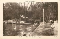 CPA Lyon Illusstre Parc de la Tete d'Or le Coin des Cygne