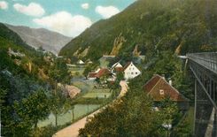 CPA Partie im Hollenthal