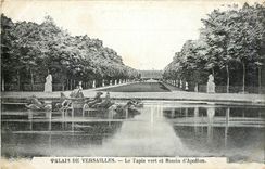 CPA Palais de Versailles Le Tapis vert et Bassin d'Apollon 