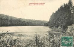CPA La Lorraine Etang de Bellefontaine 