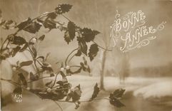 CPA Bonne Annee 