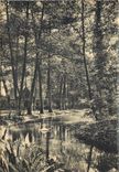 CPM Vittel Dans le Parc Un coin du Lac 