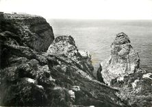 CPM Cap Frehel C du N Les falaises et rochers de la petite et grande Fauconniere 