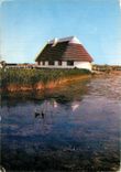 CPM Les Belles Images de Camargue Cabane de Gardian et sa Roubino 