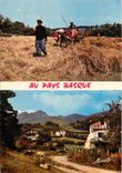 CPM Au pays basque La Fenaison Maison Basques au pied des Pyrenees 