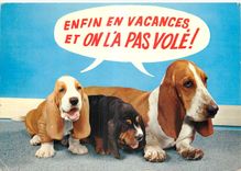CPM Les Chiens Basset 