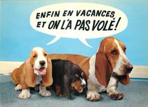 CPM Les Chiens Basset 