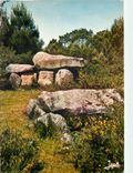 CPM Dolmen dans la lande bretonne 