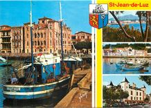 CPM Saint Jean de Luz Pyrenees Atlantiques Vue generale et le Rhune 