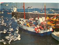 CPM Retour de Peche 