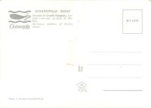 CPM Oceanopolis Brest Groupe de Grands Dauphins 