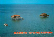 CPM Bassin d'Arcachon Gironde L'Ile aux Oiseaux 