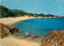 CPM La Corse oasis de Beaute 