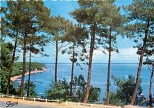 CPM Bassin d'Arcachon Gironde La pointe aux chevaux 