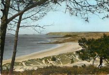 CPM Pleherel Plage C du N La Plage et le Cap Frehel 