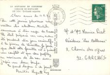 CPM Oiseaux de Bretagne Goelands argentes