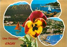 CPM Une Pensee d'Agay Var 