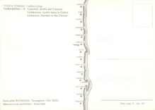 CPM Costa Dorada Tarragona Cathedrale Jardin dans le Cloitre 