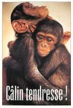 CPM Calin Tendresse Singe Chimpanze