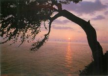 CPM Coucher de soleil