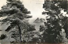 CPM La Seynes sur mer (Var) Le Rocher des deux Freres