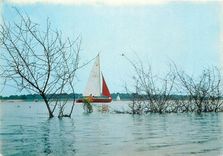 CPM Parc Naturel Regional de Lorraine au pied des cotes de Meuse l'etang de Madine (Voile canoe Kaya